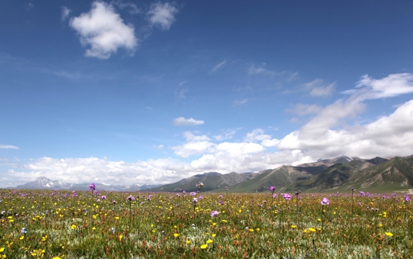 自然风光新疆喀纳斯图片