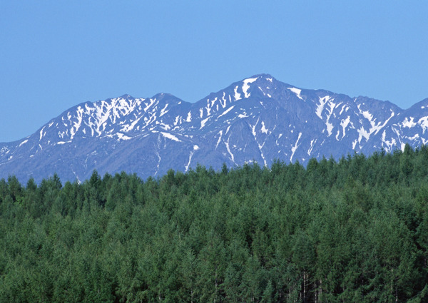 高原雪山图片