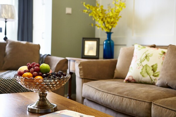 美式客厅沙发盆景设计图