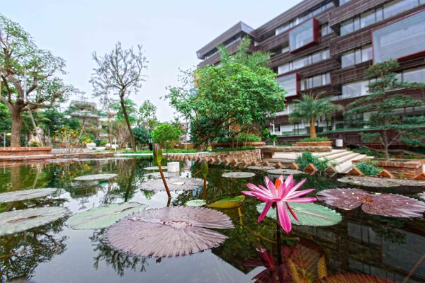 广州番禺淘商城电子商务创意产业园园区景色图片