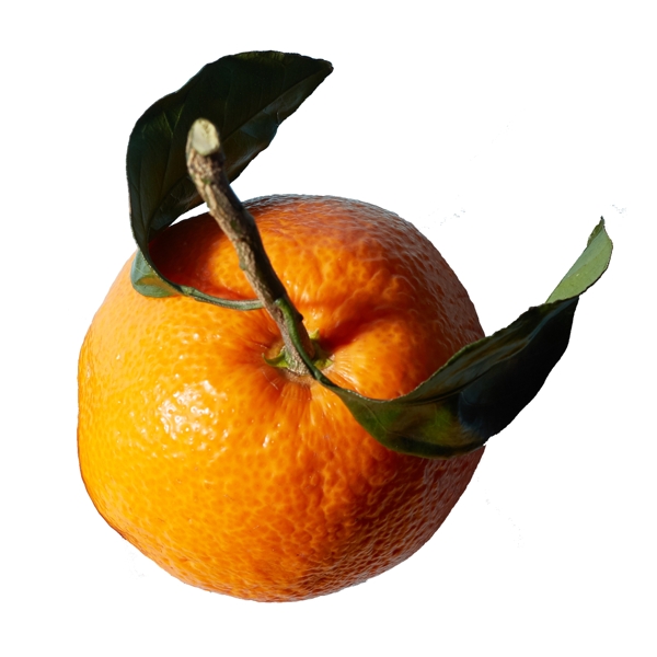 整个橘子