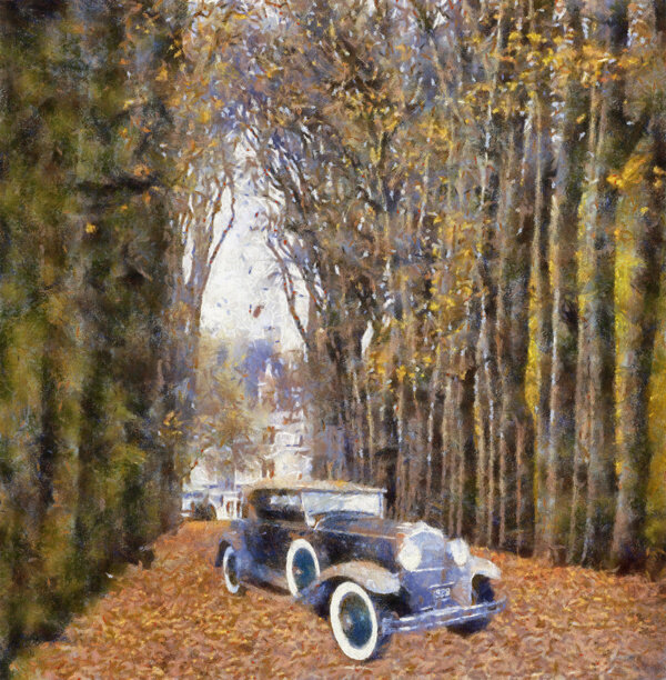 树林里的轿车图片