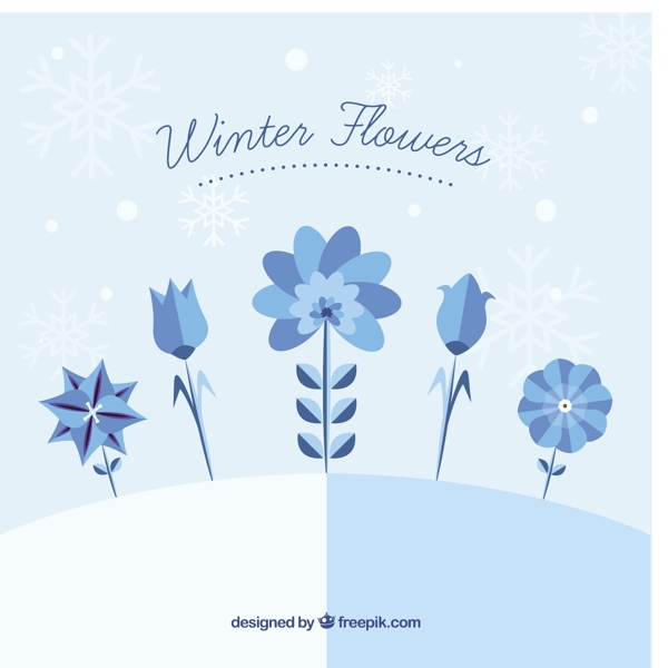 美丽的蓝调冬季花
