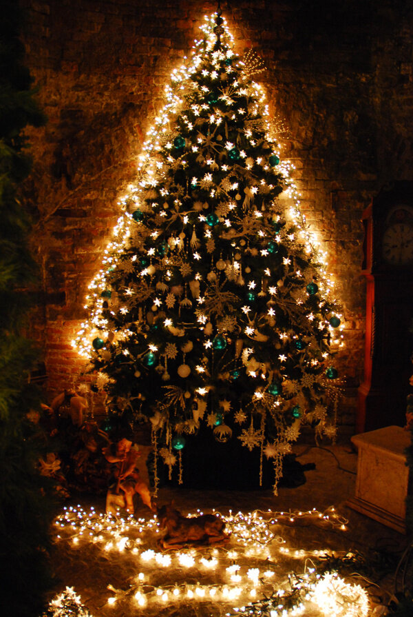圣诞树高清图片