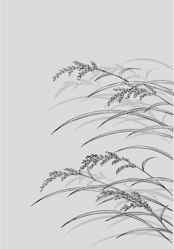 日本线描植物和花卉图片