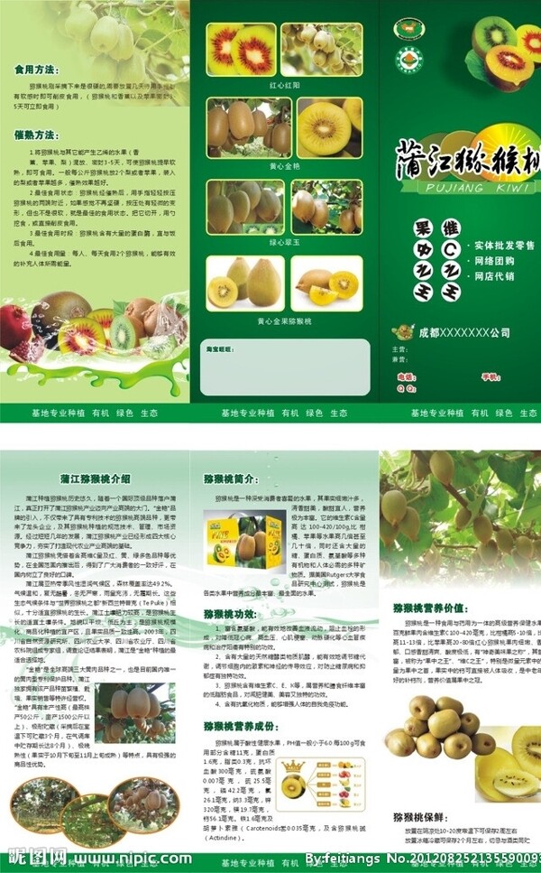蒲江猕猴桃宣传单图片
