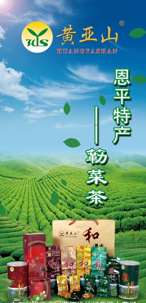 恩平特产簕菜茶图片