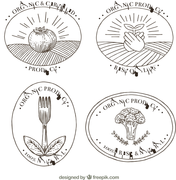 四个手绘有机食品贴纸图标