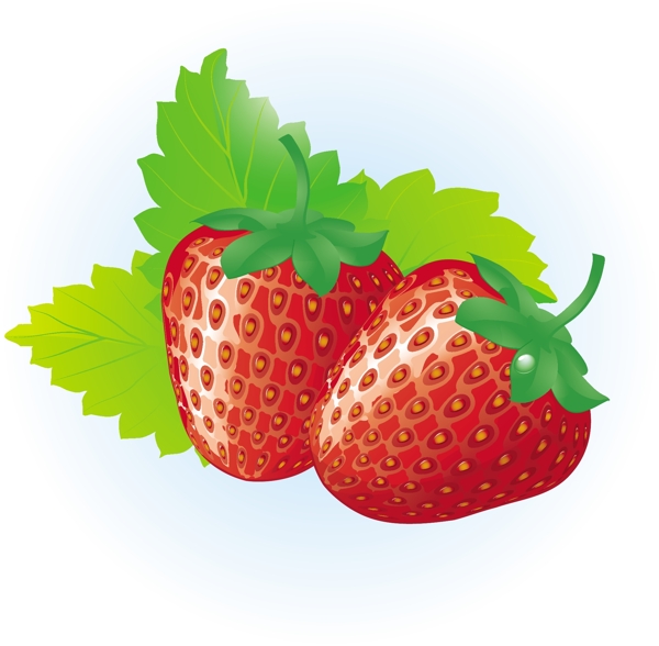 多汁的红草莓矢量图形