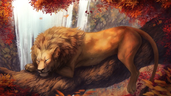 彩色狮子动物插画背景
