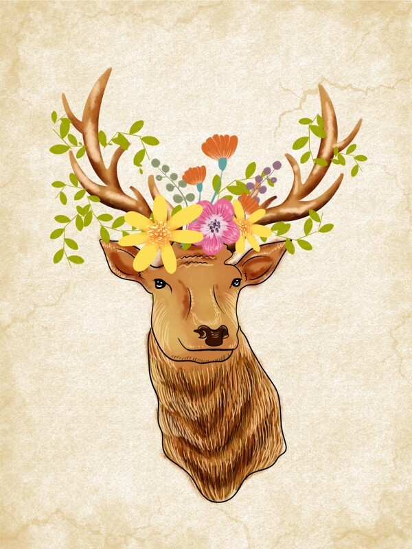 鹿插画装饰画图片
