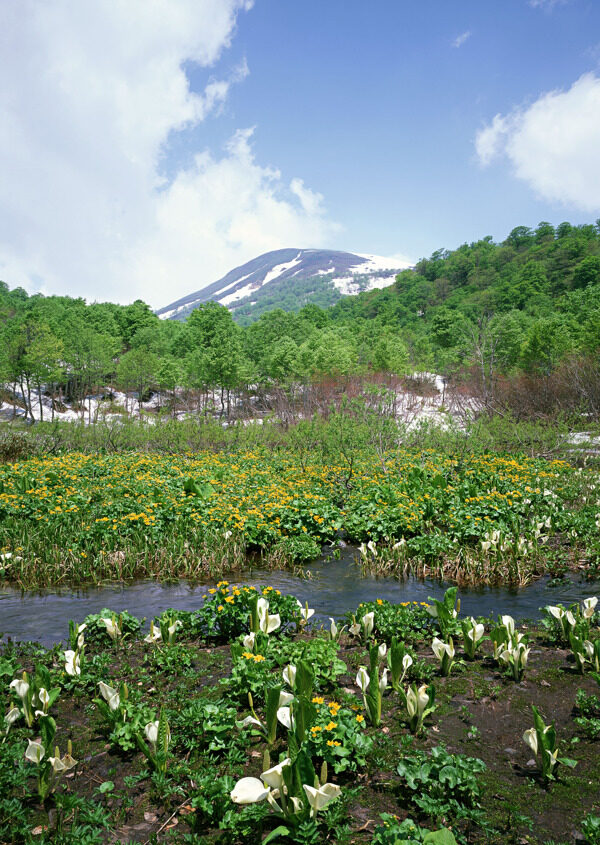 湖泊山景