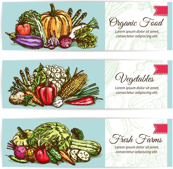 健康蔬菜水果海报卡片背景矢量