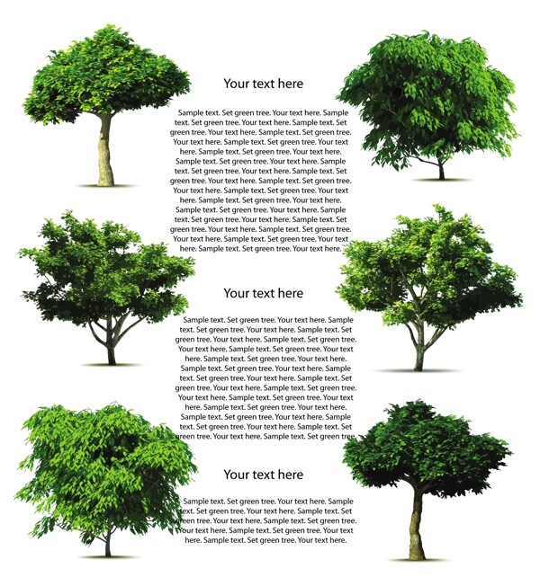 3D矢量园林装饰树木