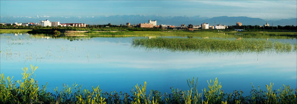 甘肃张掖湿地之城图片