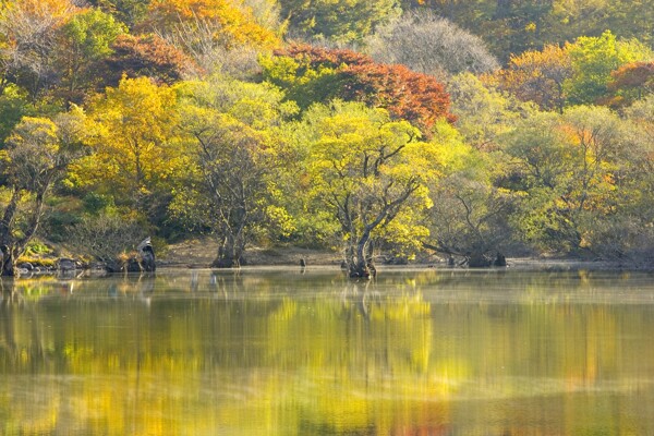 湖面倒影风景