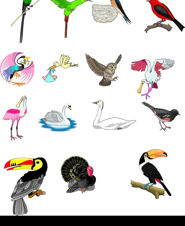 鸟类矢量图图片
