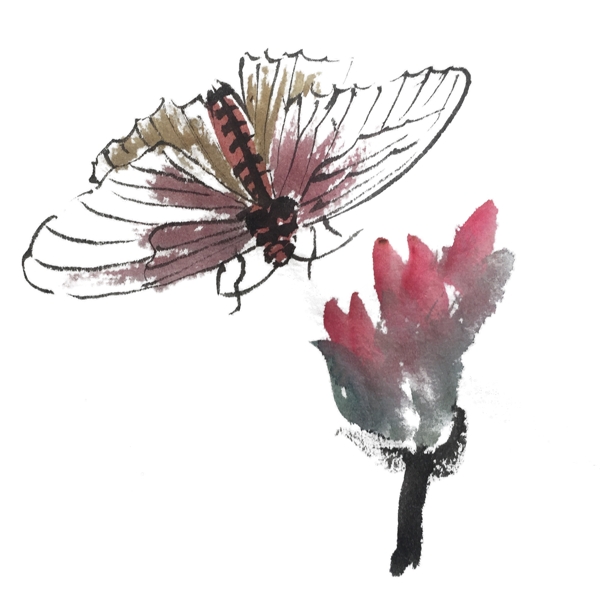 中国风夏季蜻蜓立荷花上手绘插画