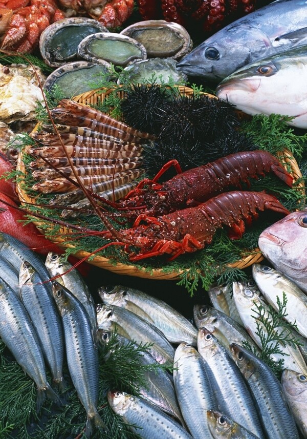 海鲜产品海鱼龙虾