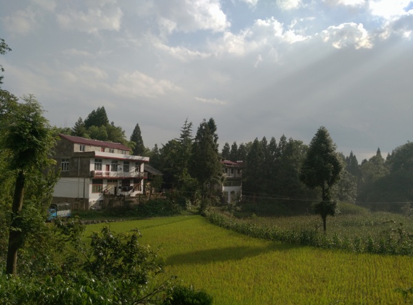 雨后风景图片