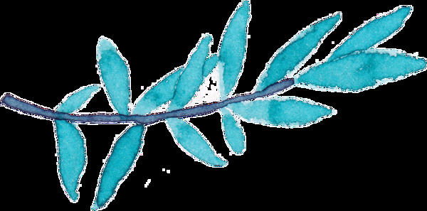 海蓝枝叶卡通透明素材