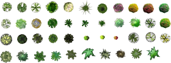 平面植物素材图片