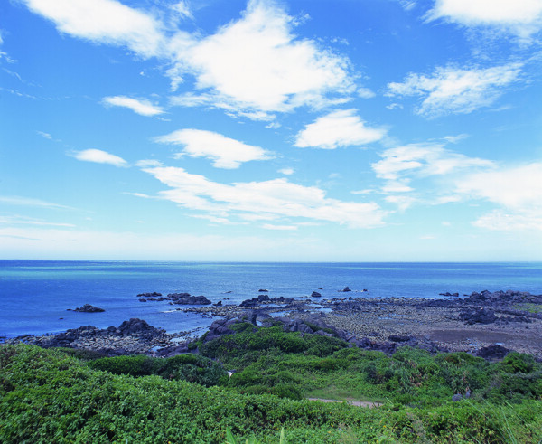 陆地旷野户外平原田园田野天空大自然树木绿意风光风景广告素材大辞典