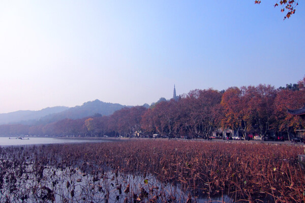 西湖风光图片