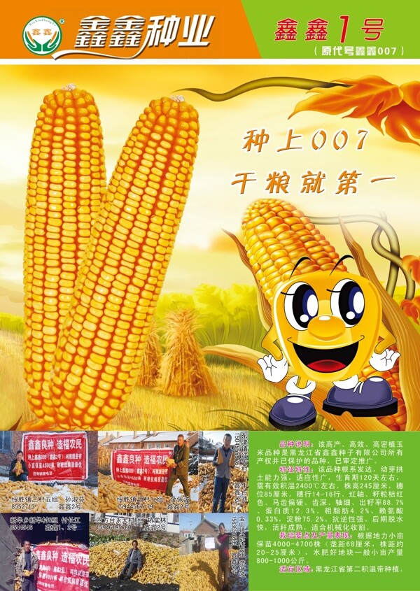 玉米种子DM单图片