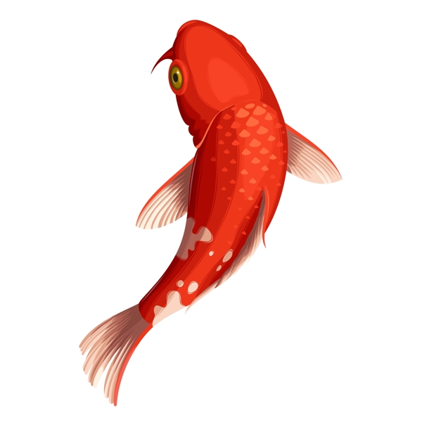 手绘可爱红色鲤鱼动物元素