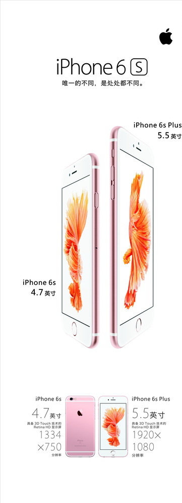 苹果6siphone6s姜勇图片