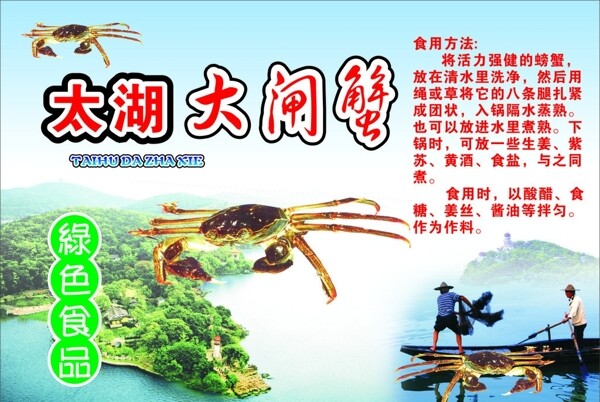 太湖大闸蟹食用方法图片