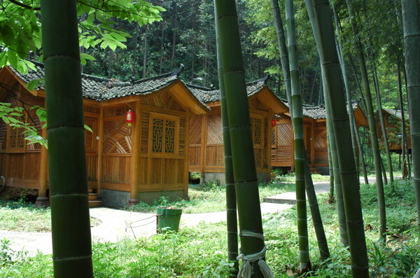 竹林中的小木屋图片
