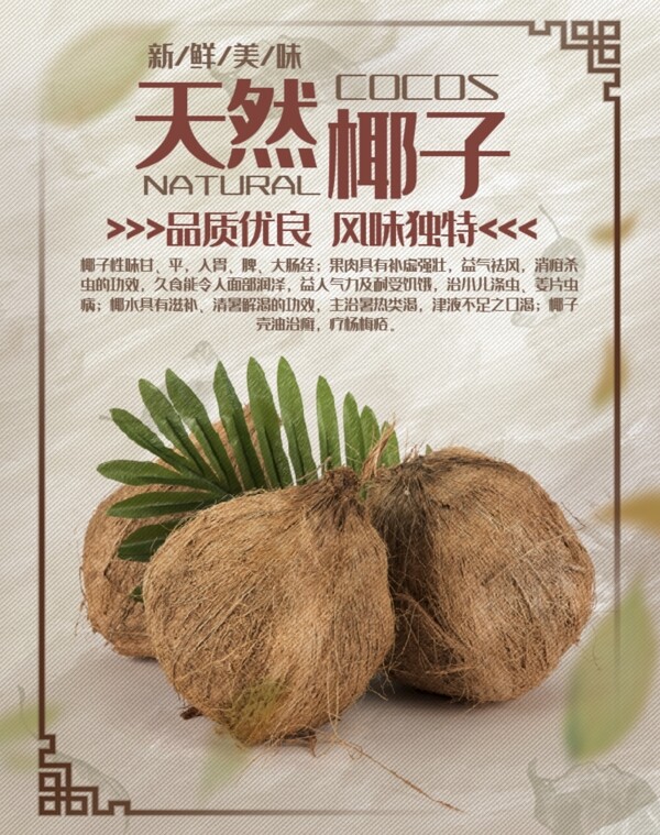 椰子海报天然椰子图片