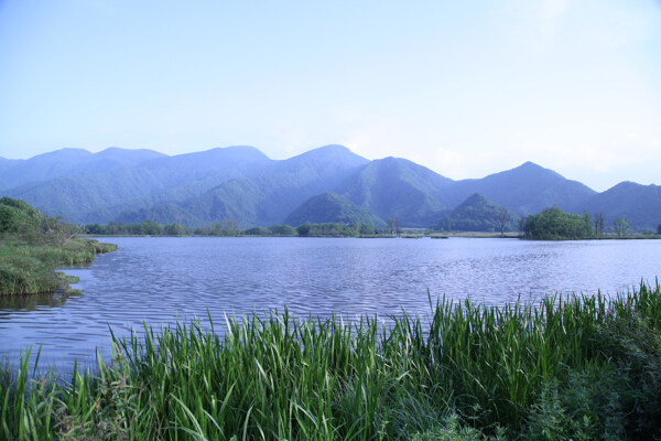 大九湖风景