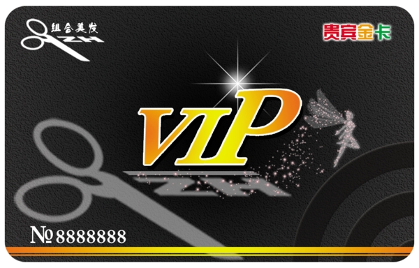 组合造型vip金卡正面图片