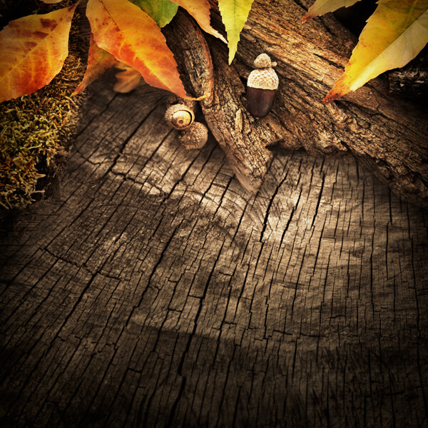 木纹树叶背景图片