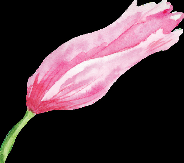 甜美粉色花卉卡通水彩透明素材