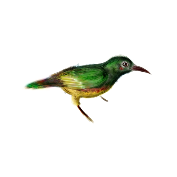 一只绿色手绘小鸟卡通元素