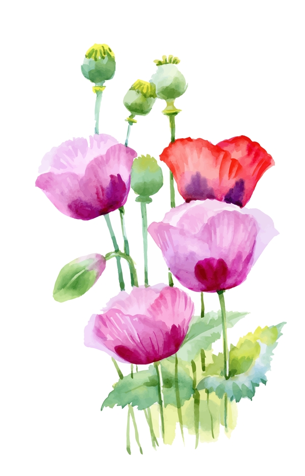 粉色花朵植物花朵水彩手绘矢量文件