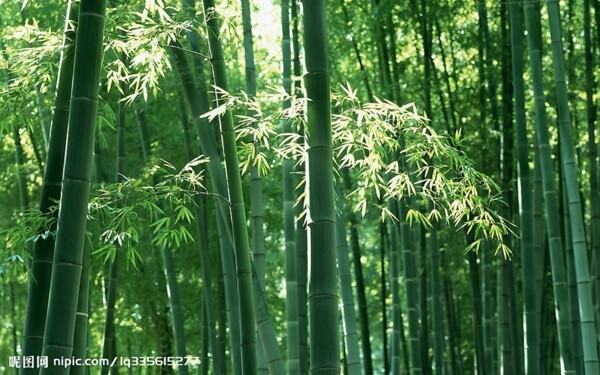 沙发茶几组模型