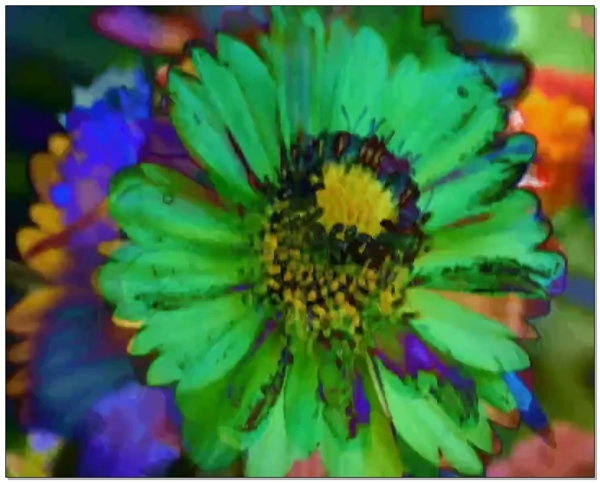 绿色大朵花朵视频素材