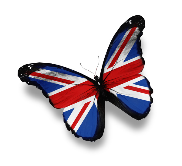英国国旗蝴蝶图片