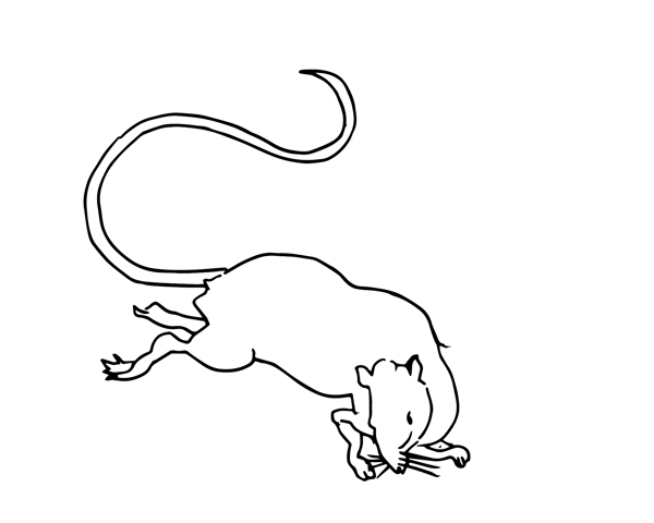 十二生肖鼠矢量动态手绘黑白线条