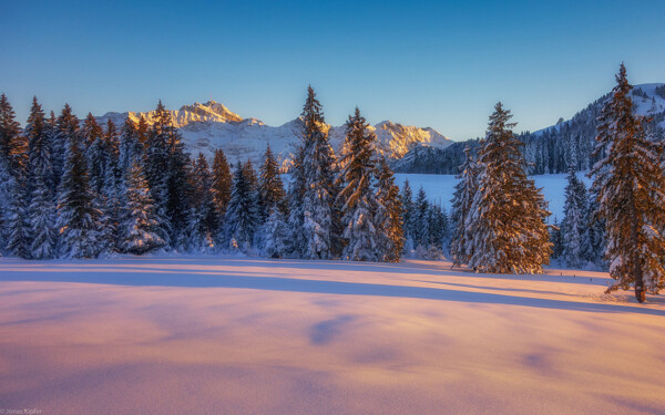 唯美雪景冬季风景