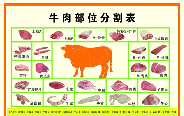 牛肉部位分割表图片