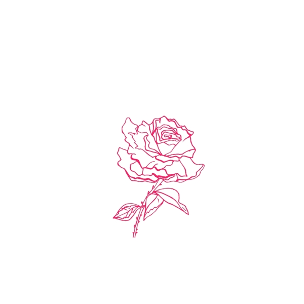 手绘玫瑰花