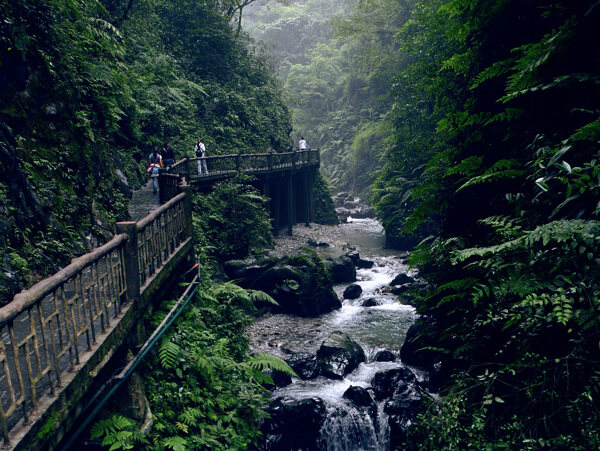 四川峨眉山图片