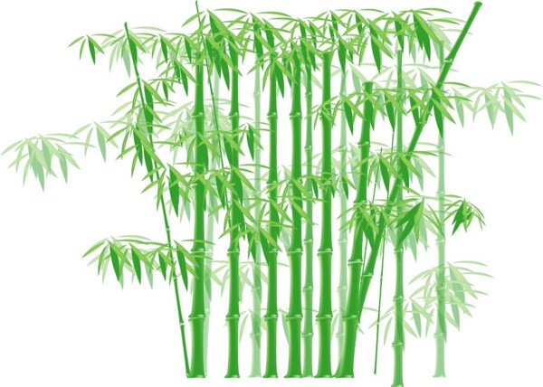 矢量绿色竹