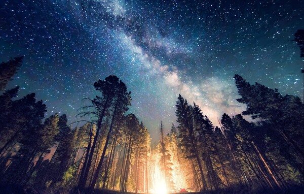 森林夜晚星空